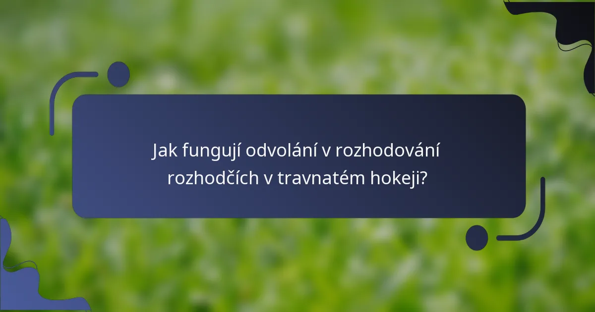 Jak fungují odvolání v rozhodování rozhodčích v travnatém hokeji?