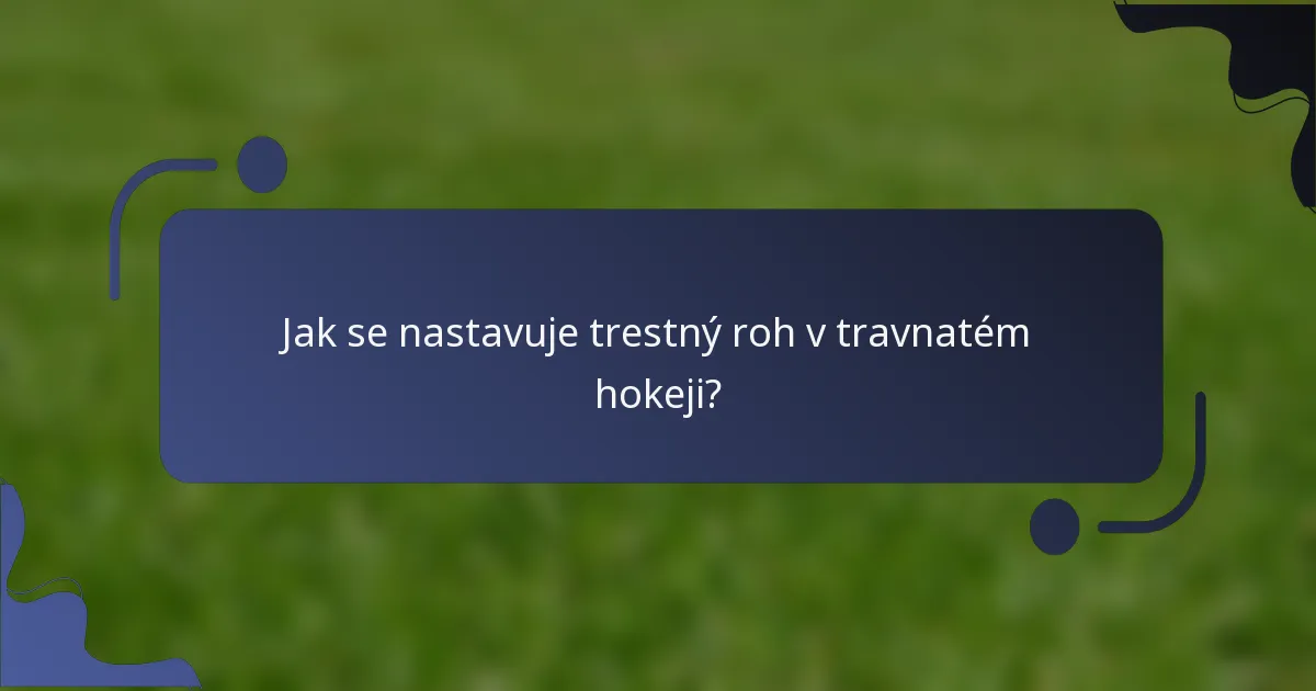 Jak se nastavuje trestný roh v travnatém hokeji?