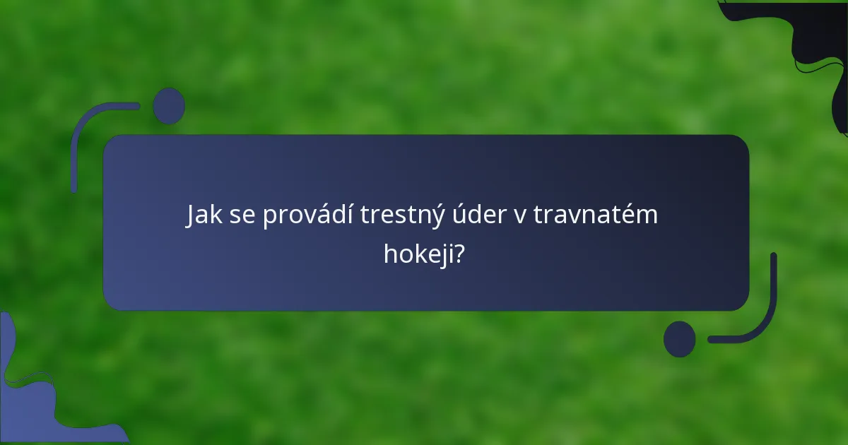 Jak se provádí trestný úder v travnatém hokeji?