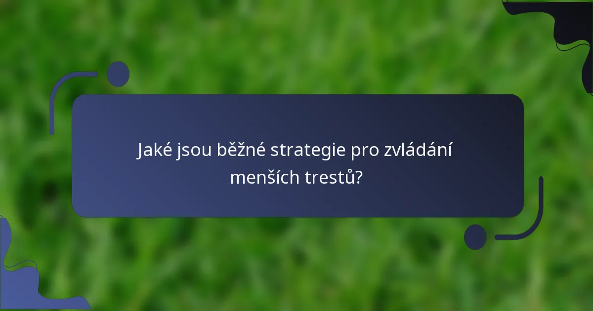 Jaké jsou běžné strategie pro zvládání menších trestů?