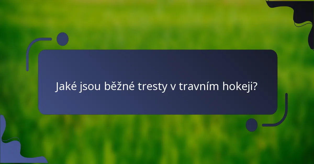 Jaké jsou běžné tresty v travním hokeji?