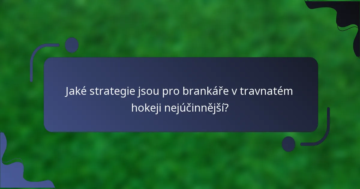 Jaké strategie jsou pro brankáře v travnatém hokeji nejúčinnější?